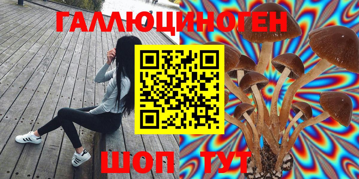 Людиново  Галлюциногенные грибы прущие грибы  Вход с VPN  Галлюциногенные грибы мицелий 