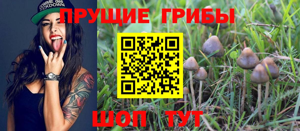 Галлюциногенные грибы GOLDEN TEACHER Людиново